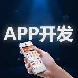 廈門市安卓蘋果APP軟件開發外包定制服務 構建數字化未來的橋梁